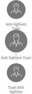 Anh Nghiem Tuan, IČO: 67209696: vizualizace vztahů osob a společností