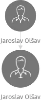 Jaroslav Olšav, IČO: 67224466: vizualizace vztahů osob a společností