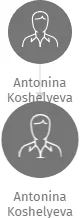 Antonina Koshelyeva, IČO: 67834523: vizualizace vztahů osob a společností