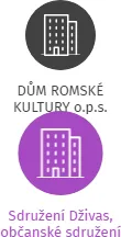 Sdružení Dživas, občanské sdružení, IČO: 68299354: vizualizace vztahů osob a společností