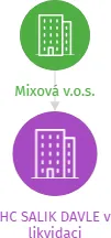 HC SALIK DAVLE v likvidaci, IČO: 68404263: vizualizace vztahů osob a společností