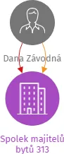 Spolek majitelů bytů 313, IČO: 68521189: vizualizace vztahů osob a společností