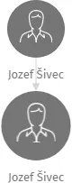 Jozef Šivec, IČO: 68593961: vizualizace vztahů osob a společností