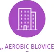 ,, AEROBIC BLOVICE´´, IČO: 68783663: vizualizace vztahů osob a společností