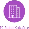 FC Sokol Kokašice, IČO: 68784287: vizualizace vztahů osob a společností