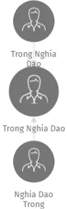 Trong Nghia Dao, IČO: 68966261: vizualizace vztahů osob a společností