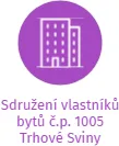 Sdružení vlastníků bytů č.p. 1005 Trhové Sviny, IČO: 69113971: vizualizace vztahů osob a společností