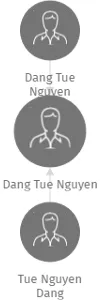 Dang Tue Nguyen, IČO: 69270082: vizualizace vztahů osob a společností
