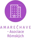 A M A R E Č H A V E - Asociace Rómských občanských iniciativ, z. s., IČO: 69460001: vizualizace vztahů osob a společností