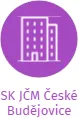 SK JČM České Budějovice, IČO: 69569428: vizualizace vztahů osob a společností