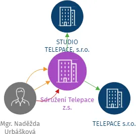 Sdružení Telepace z.s., IČO: 69610584: vizualizace vztahů osob a společností