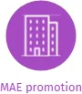 MAE promotion, IČO: 70516570: vizualizace vztahů osob a společností