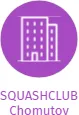 SQUASHCLUB Chomutov, IČO: 70693994: vizualizace vztahů osob a společností