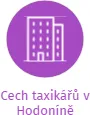 Cech taxikářů v Hodoníně, IČO: 70898324: vizualizace vztahů osob a společností
