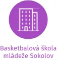 Basketbalová škola mládeže Sokolov, IČO: 70894485: vizualizace vztahů osob a společností