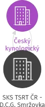 SKS TSRT ČR - D.C.G. Smržovka, IČO: 70957215: vizualizace vztahů osob a společností