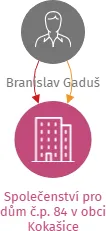 Společenství pro dům č.p. 84 v obci Kokašice, IČO: 72562595: vizualizace vztahů osob a společností